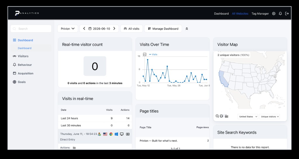 PAnalytics dashboard with real-time visits, engagement trends, and visitor map widgets